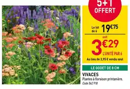 RAGT Jardin & Maison Vivaces offre