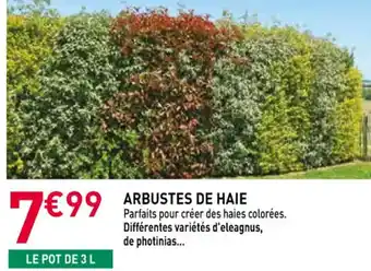 RAGT Jardin & Maison Arbustes de haie offre