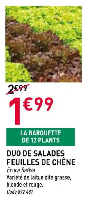 RAGT Jardin & Maison Duo de salades feuilles de chêne offre