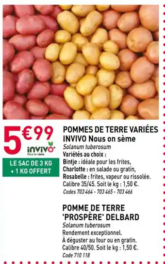 RAGT Jardin & Maison INVIVO Pommes de terre variées nous on sème offre