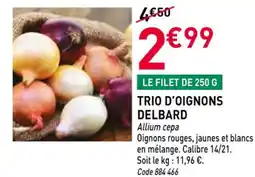 RAGT Jardin & Maison Trio d'oignons delbard offre