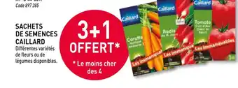 RAGT Jardin & Maison Sachets de semences caillard offre