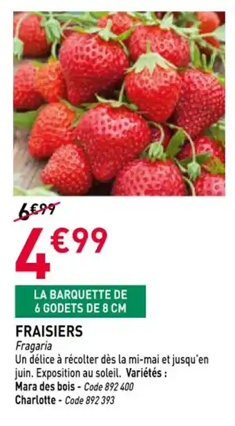 RAGT Jardin & Maison Fraisiers offre