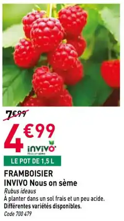 RAGT Jardin & Maison INVIVO Framboisier nous on sème offre