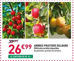 RAGT Jardin & Maison Arbres fruitiers delbard offre