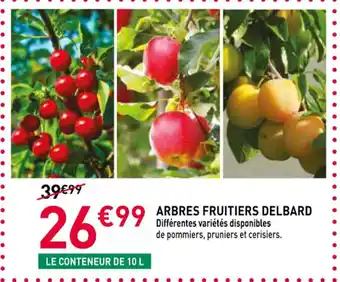 RAGT Jardin & Maison Arbres fruitiers delbard offre