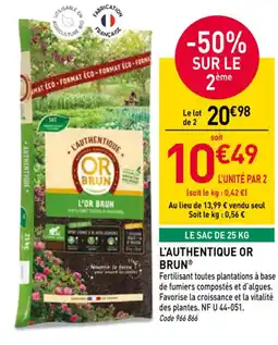 RAGT Jardin & Maison OR BRUN Lauthentique offre