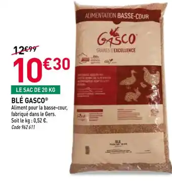 RAGT Jardin & Maison GASCO® Blé offre