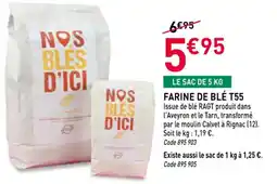 RAGT Jardin & Maison Farine de blé t55 offre