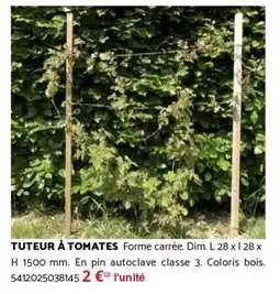 Bricomarché Tuteur à tomates offre