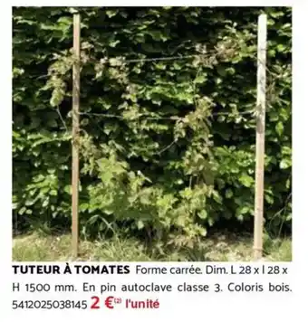 Bricomarché Tuteur à tomates offre