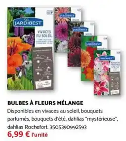 Bricomarché JARDIBEST Bulbes à fleurs mélange offre