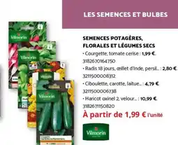 Bricomarché VILMORIN Semences potagères, florales et légumes secs offre