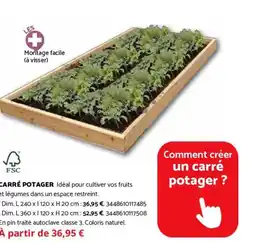 Bricomarché Carré potager offre