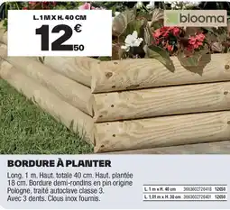 Brico Dépôt Bordure à planter offre