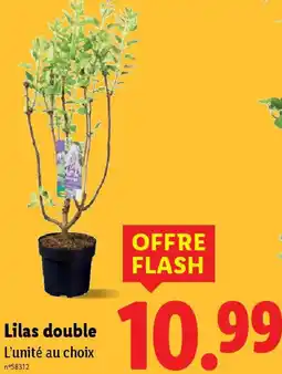 Lidl Lilas double offre