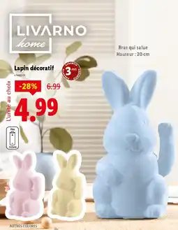 Lidl LIVARNO Hauteur : 20 cm Lapin décoratif offre