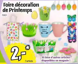 Norma Foire décoration de printemps offre