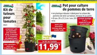 Norma Kit de tuteurs pour tomates offre