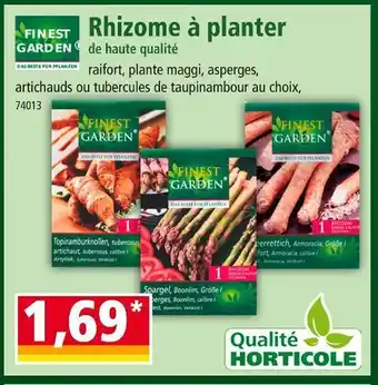 Norma FINEST GARDEN Rhizome à planter de haute qualité offre