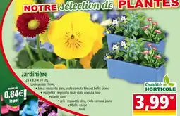 Norma Jardinière offre