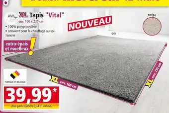 Norma AW RUGS Tapis vital env. 160 x 230 cm offre