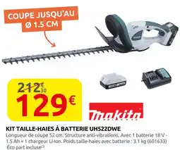 Rural Master Kit taille-haies à batterie UH522DWE offre