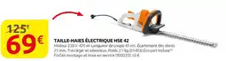 Rural Master Taille-haies électrique HSE 42 offre