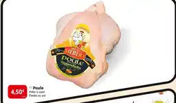 Colruyt Bruno Siebert Poule offre