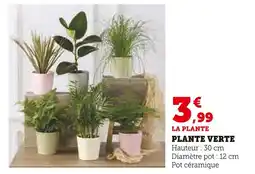 Super U Plante verte offre