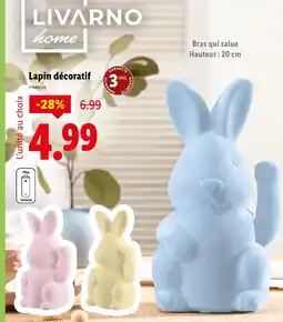 Lidl Livarno Lapin décoratif offre