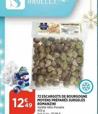 72 Escargots De Bourgogne Moyens Préparés Surgelés Romanzini
