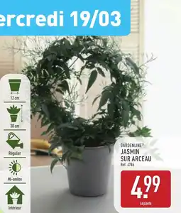 ALDI GARDENLINE® Jasmin sur arceau offre