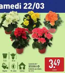 ALDI GARDENLINE® Bégonia offre