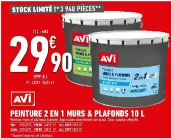 Peinture 2 En 1 Murs & Plafonds 10 L Avi