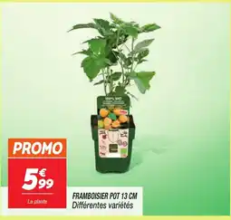 Netto Framboisier offre