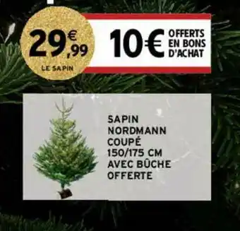 Sapin Nordmann Coupé 150 175 Cm Avec Bûche Offerte