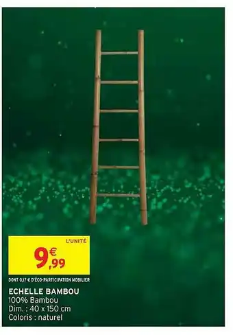 Intermarché Hyper échelle Bambou offre