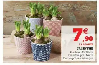 Super U Jacinthe offre
