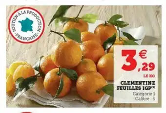 Clémentine Feuilles Igp