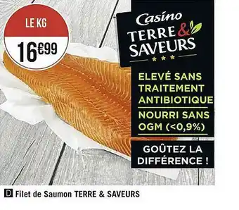Filet De Saumon Terre & Saveurs