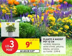 Intermarché Plante à massif offre