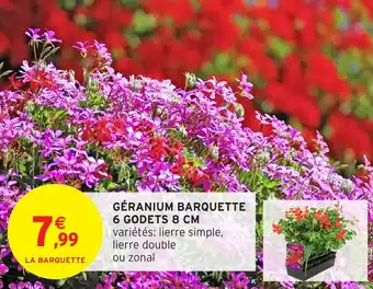 Intermarché Géranium barquette 6 godets offre