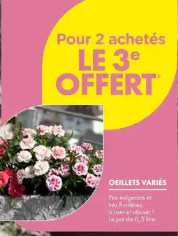 Point Vert Oeillets variés offre