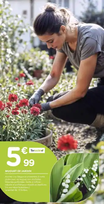 Point Vert Teragile Muguet de jardin offre