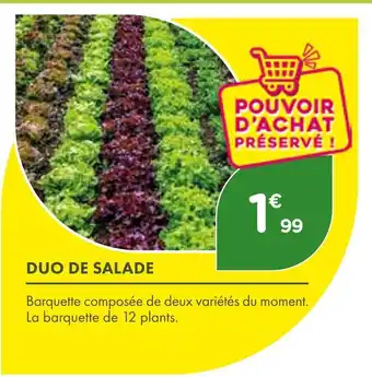 Point Vert Duo de salade offre