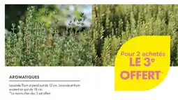 Point Vert Aromatiques offre