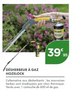 Point Vert HOZELOCK DÉSHERBEUR À GAZ offre