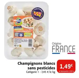 Colruyt LOU Champignons de Paris offre