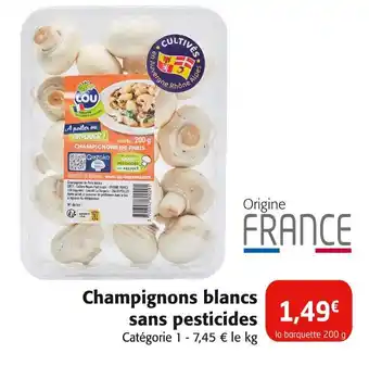 Colruyt LOU Champignons de Paris offre